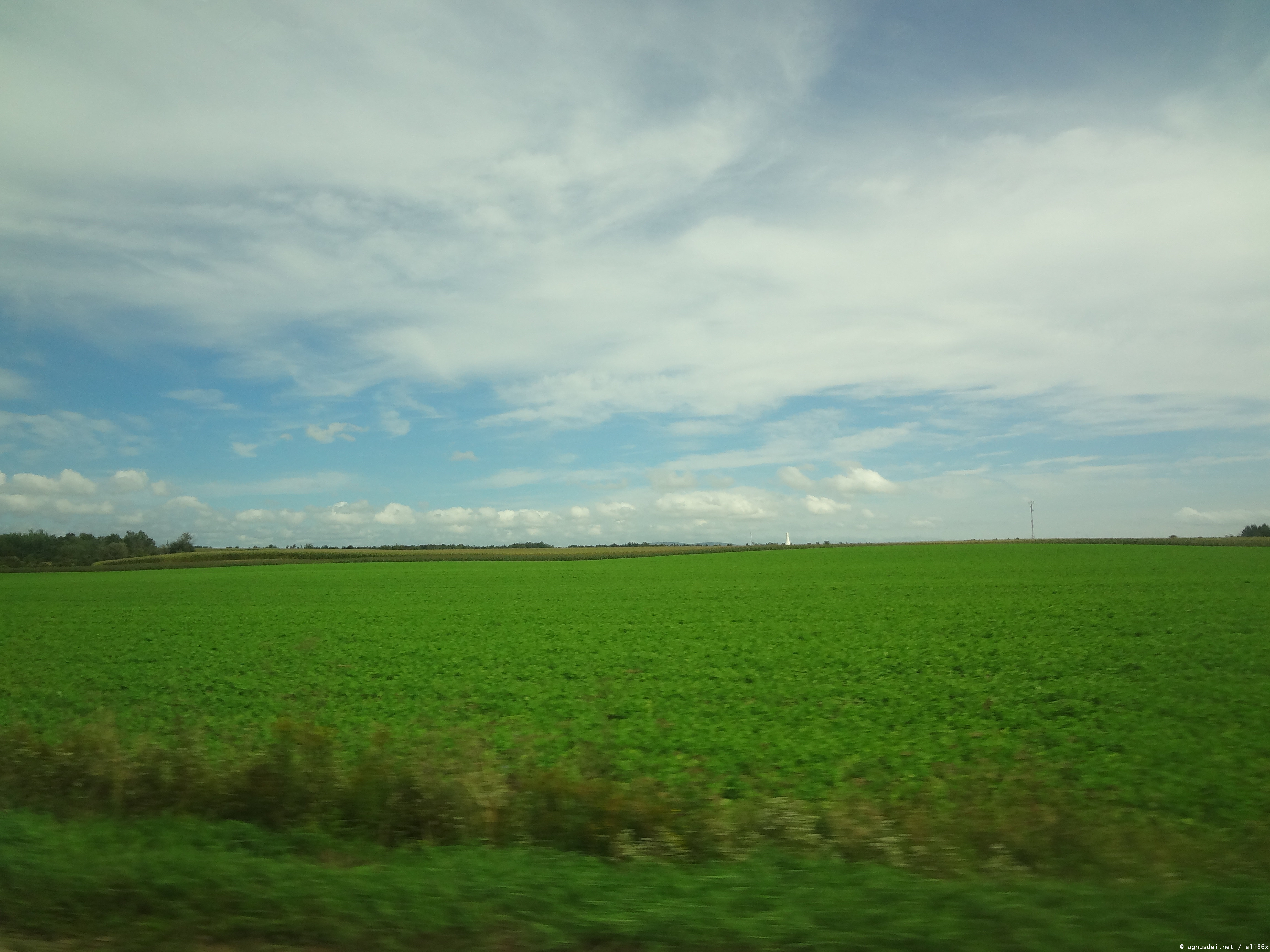 Green plain